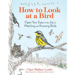 How To Look at a Bird