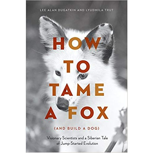 How to Tame a Fox