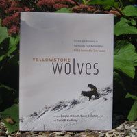 *Autographed* Yellowstone Wolves